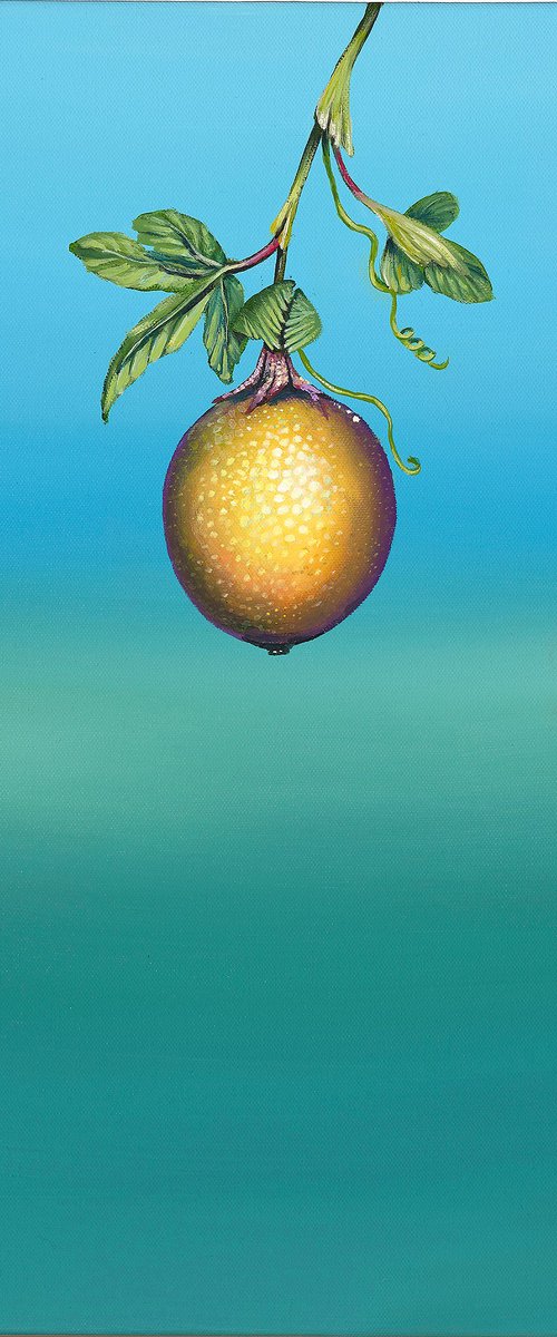 O Maracjua-Passion Fruit Mini2 by Deborah Jones