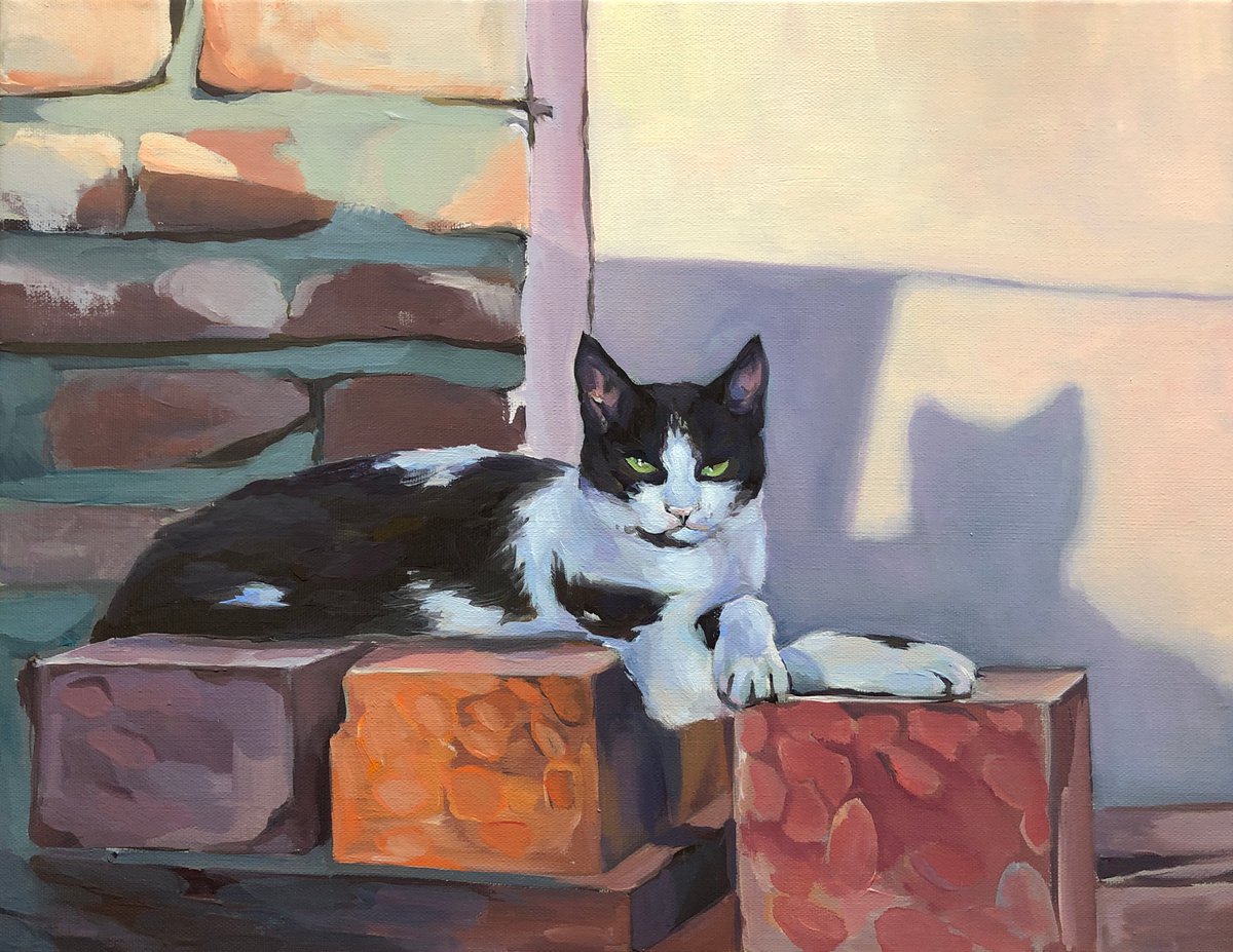 Cat in the shade 41 cm/ 31.8 cm by Guzel Min