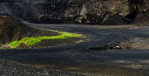 Grass in a Quarry by Russ Witherington