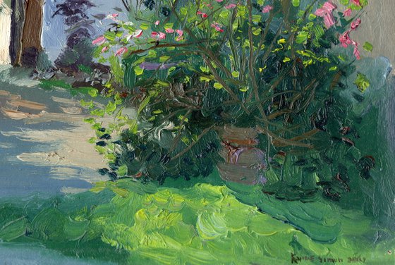 Little cottage. Haddenham