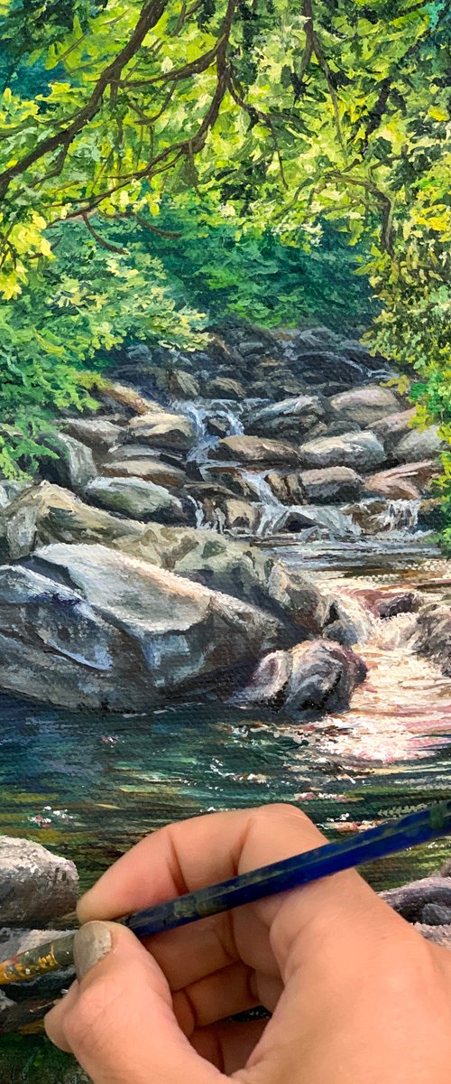 Sunlit Forest Creek by Steph Moraca