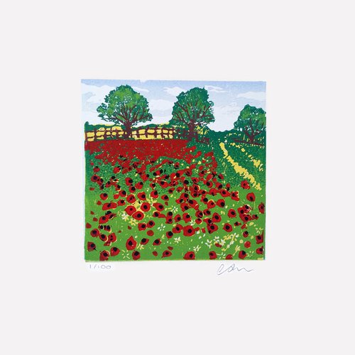 Poppy fields by Carolynne Coulson