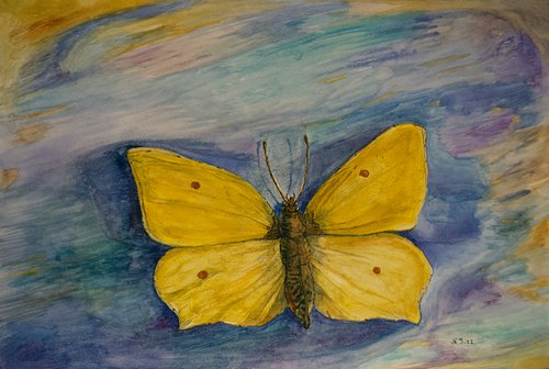 Yellow Wings a.k.a. the Zitronenfalter by Nikola Ivanovic