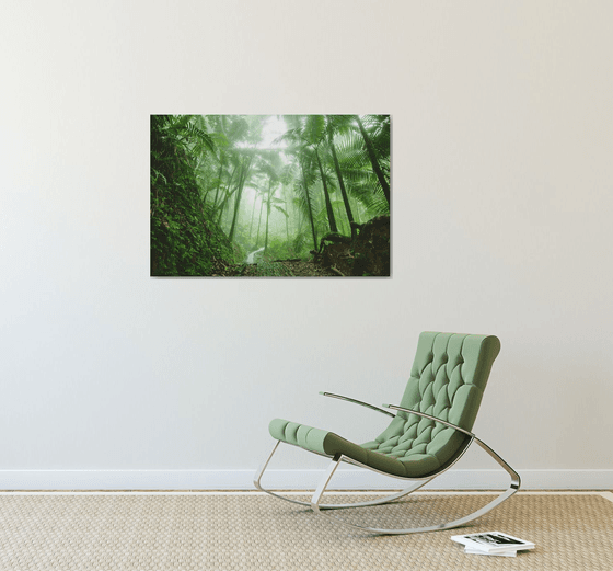 El Yunque Rain Forest