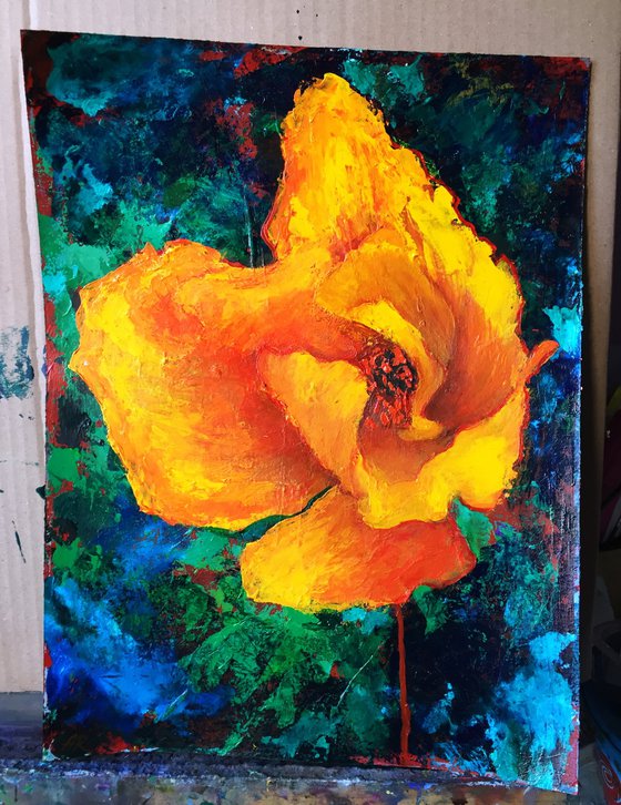 Yellow Poppy