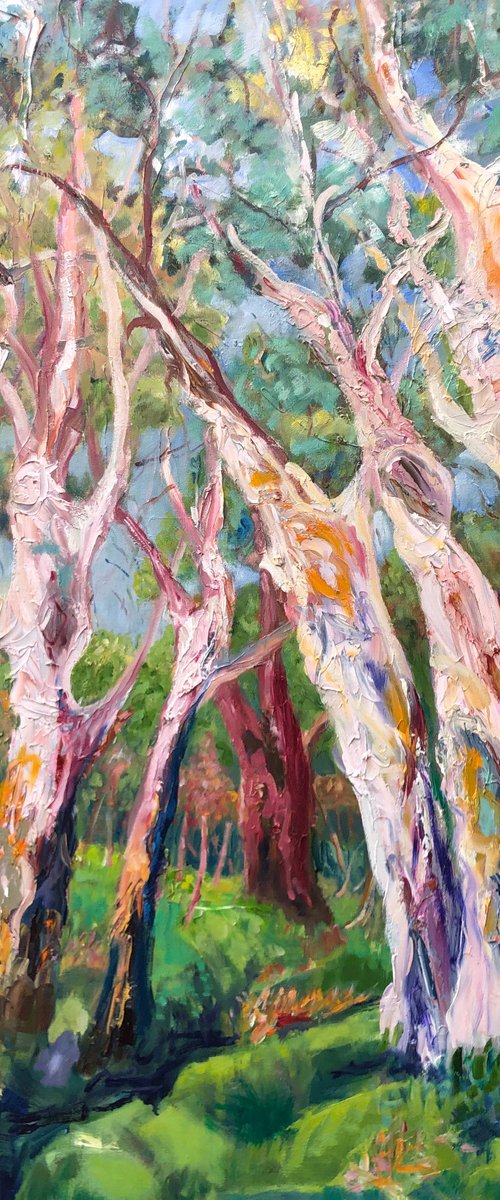 PARA WIRRA LANDSCAPE by Maureen Finck