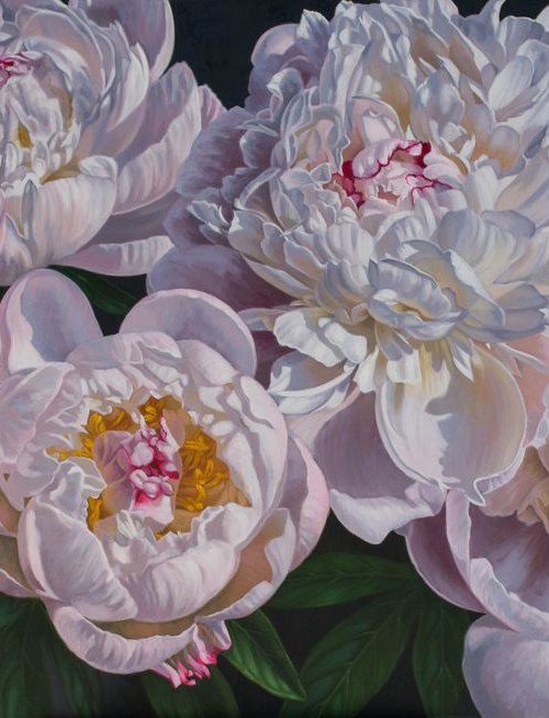 SOLD. Panorama of Peonies, 2 by Fiona Craig