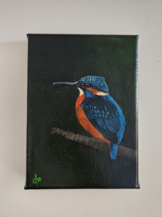 Kingfisher