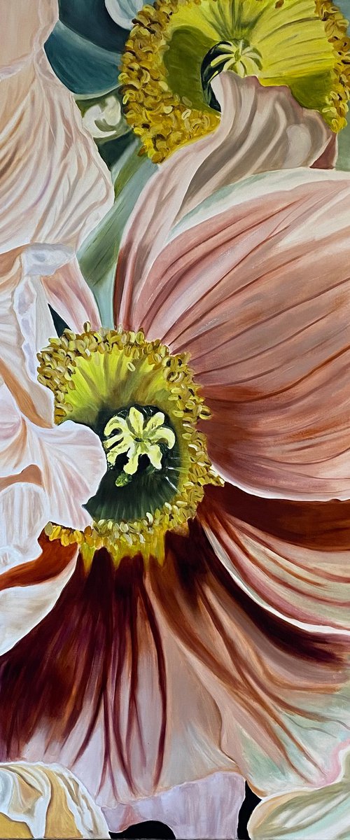 Dancing Poppies by Wendy Peters