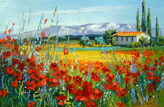 Poppy field near the mountains