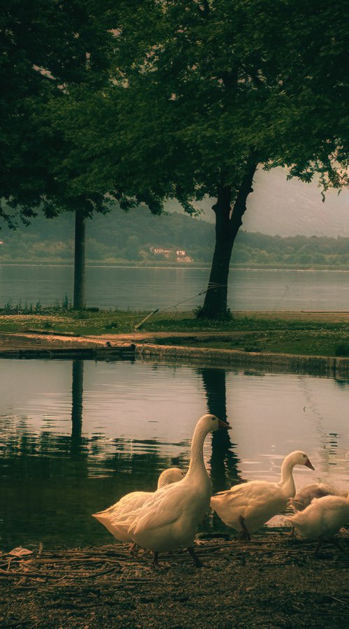 The Lake by Nektaria Thalia