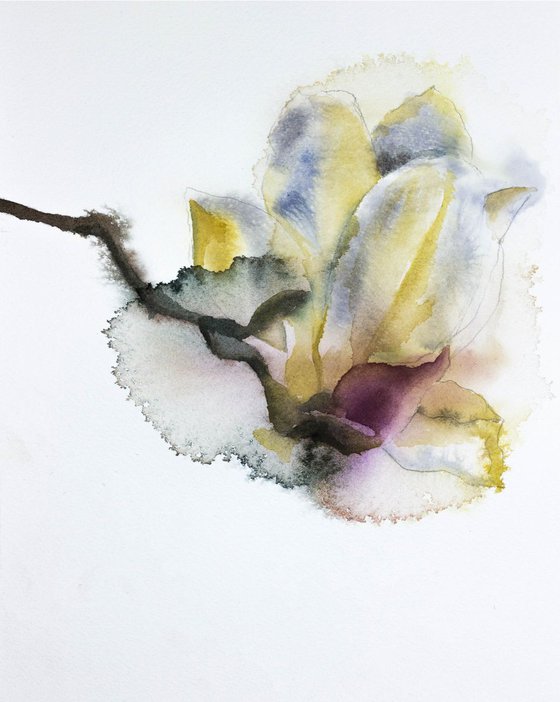 Magnolia Study No. 2