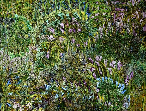 'Fairy Fort'