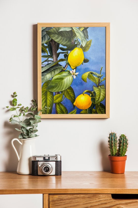 Sunny Lemons