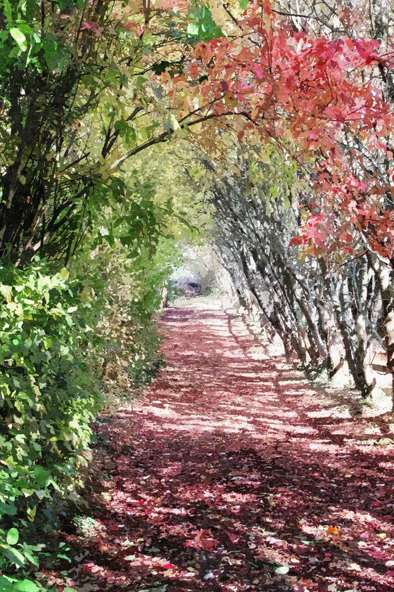 Autumn Arch