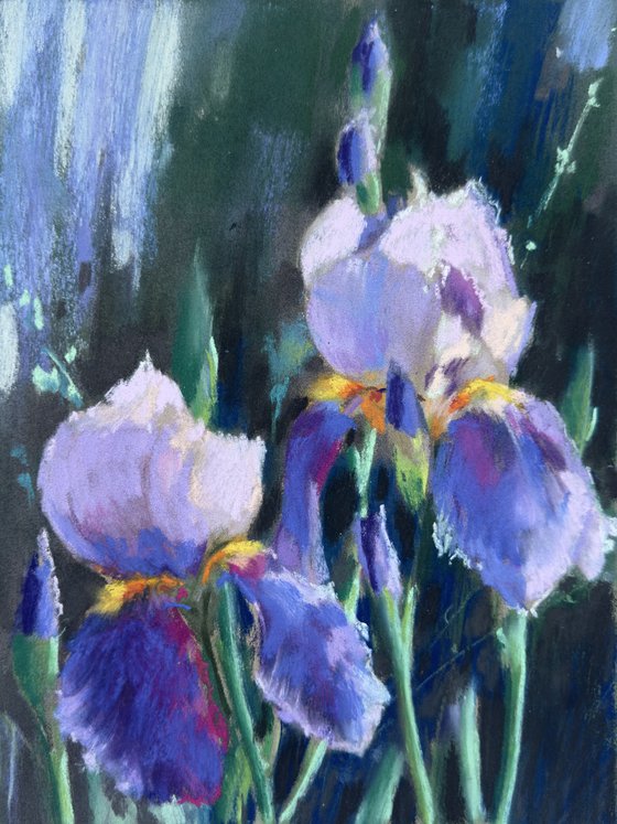 Blue Iris