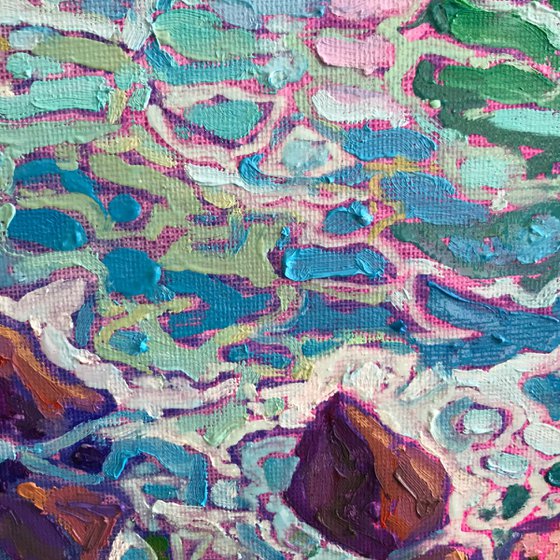 Shimmering Spectacle