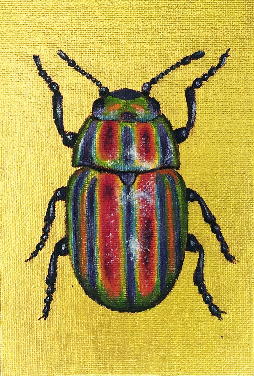 CHRISOLINA CEREALIS - Golden collection of beetles by Tatiana Voskresenskaya