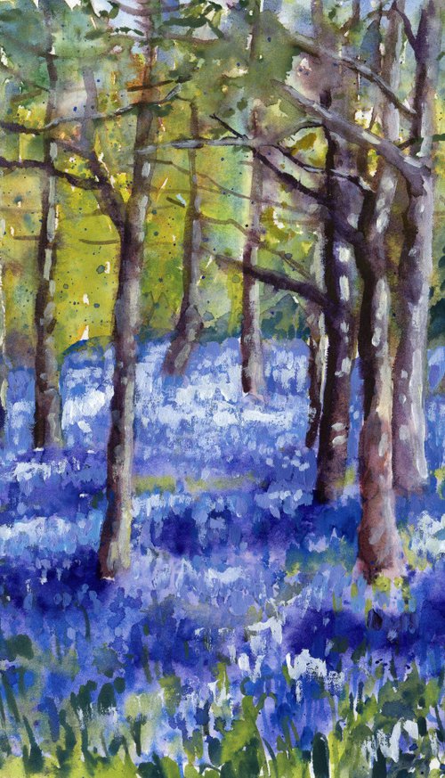 Bluebell Impression by Zoe Elizabeth Norman