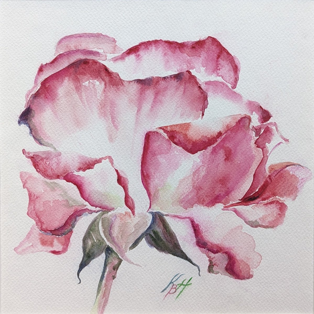 Expressive Botanical Watercolour By Katia Boitsova, 9 X 9", Pink Rose, Original Artwork