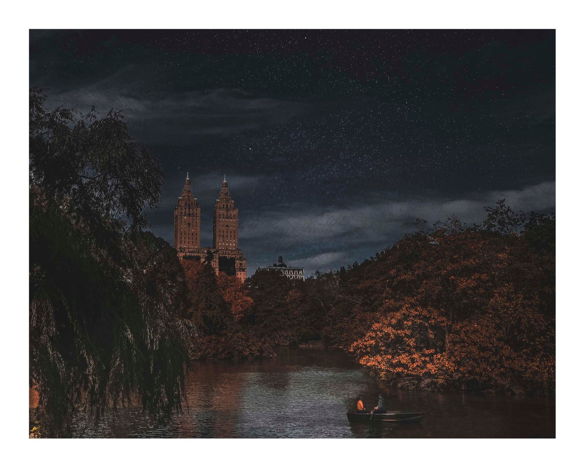 Central Park - 20 x 16- Dusk Series by Brooke T Ryan
