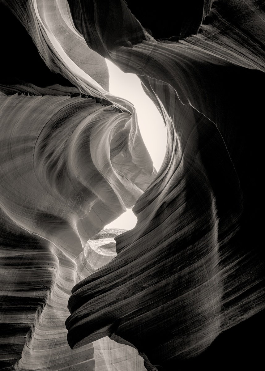Organic Photograph , Contours Of Time Iii - ? Convergence By Brandon Levalley, 25 X 35, Artwork For Sale On Artfinder