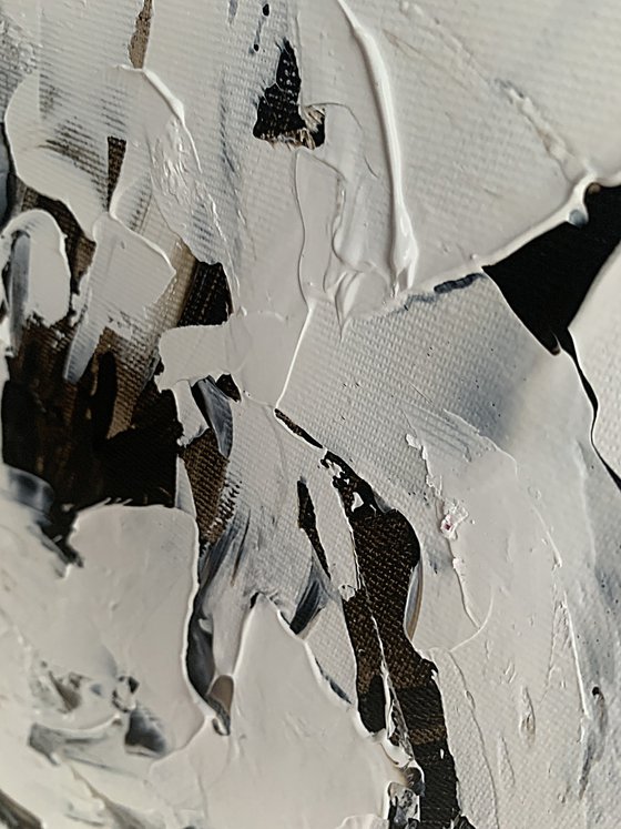 Ivory Bloom in Shadowed Light