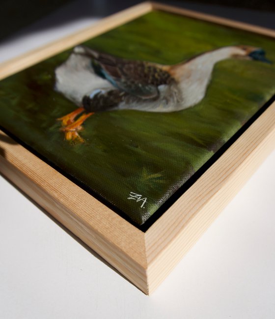 Goose II