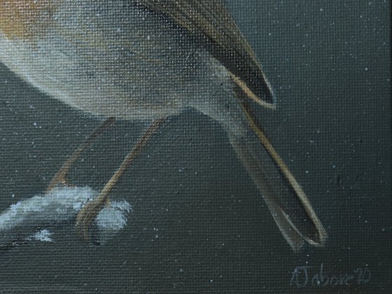 Lockdown's Morning Chorus Series - Robin in the Snow, Bird Artwork, Animal Art Framed