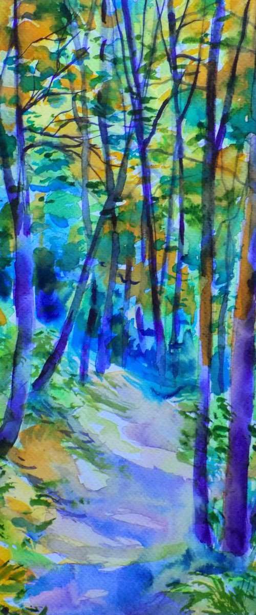 Forest path IX by Maja Grecic