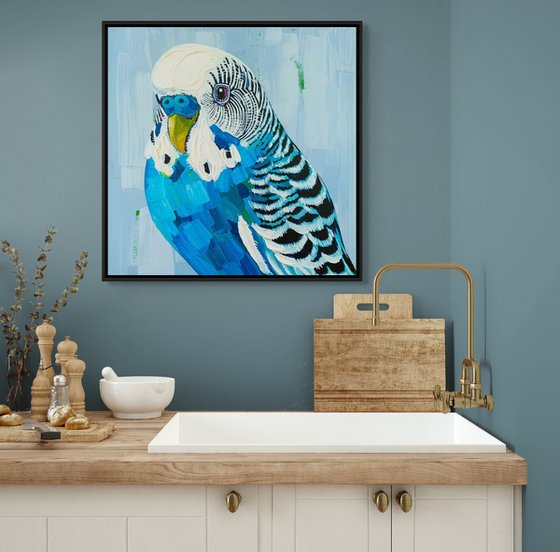 Budgie Beauties: Waffles