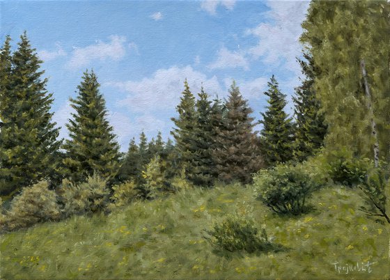Cemernik Pines