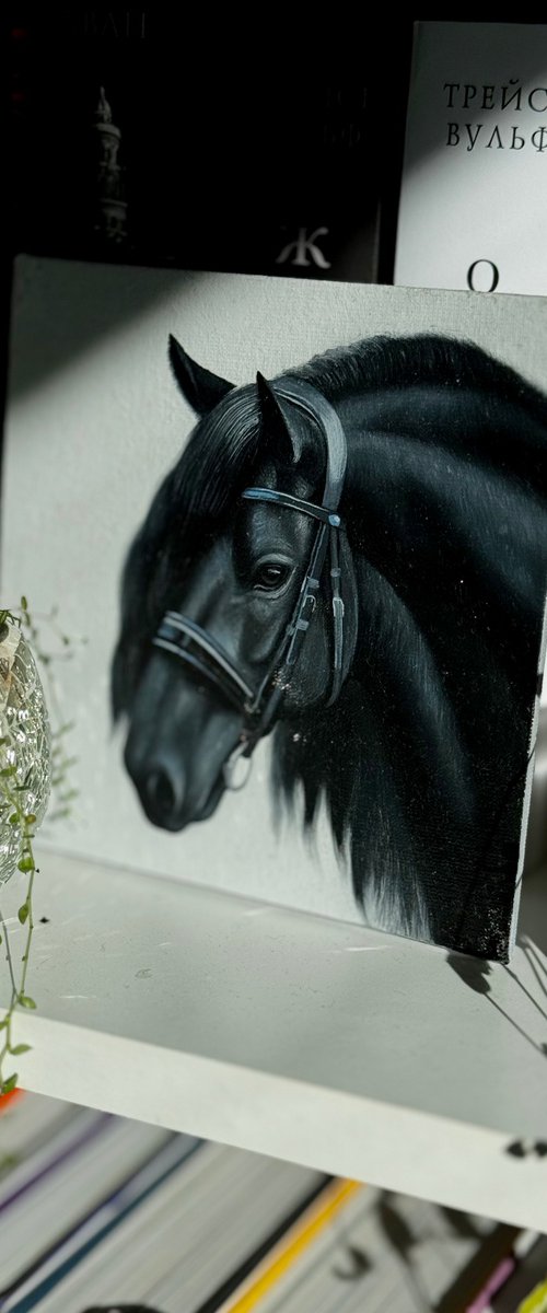 Horse Portrait 15 by Anastasia Parfilo