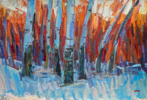 Winter birches by Vasyl Moldavchuk
