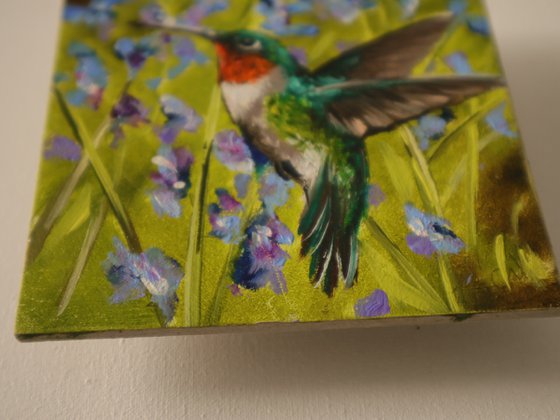 Hummingbird