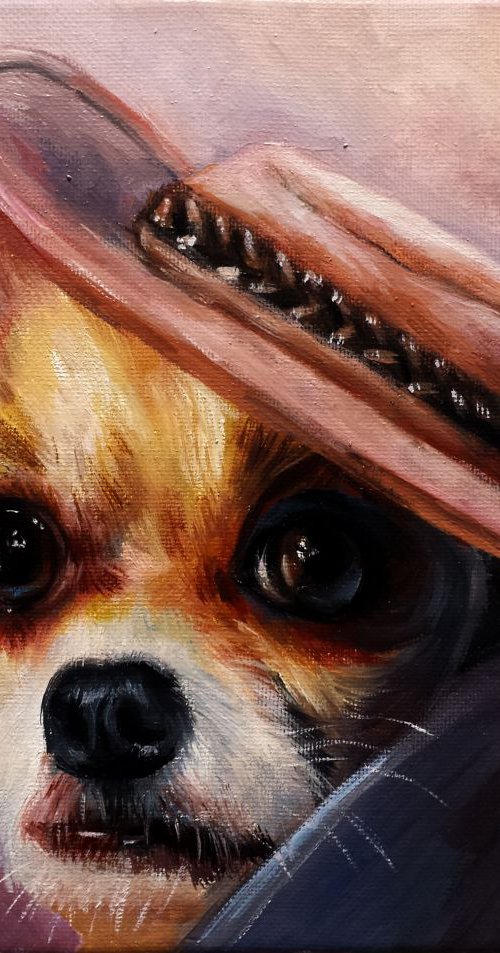 Fashion Dog by Henry Cao
