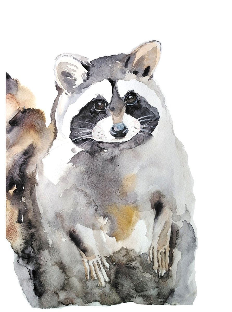 Raccoon watercolor by Tanya Amos