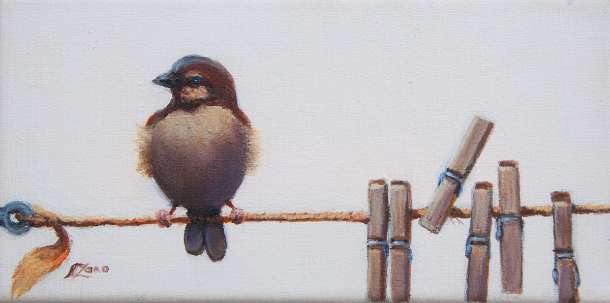 Sparrow by Norma Beatriz Zaro