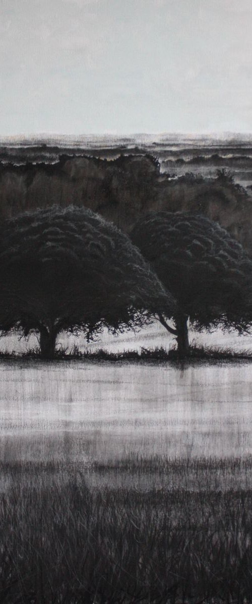 2 Trees Vista (Large Canvas). by Simon Jones