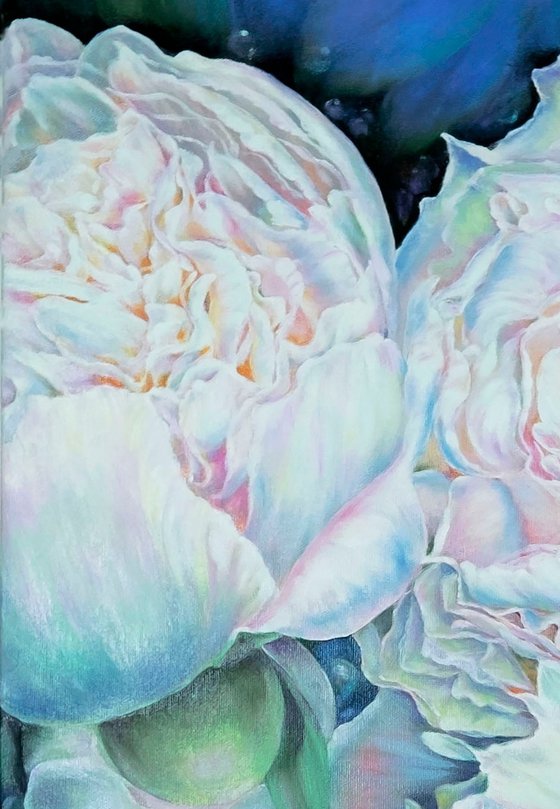 PEARLY PEONIES.