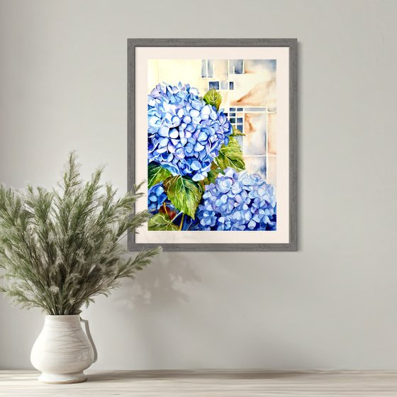 Blue Hydrangea