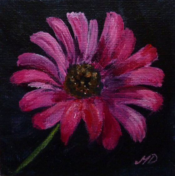 Pink Daisy