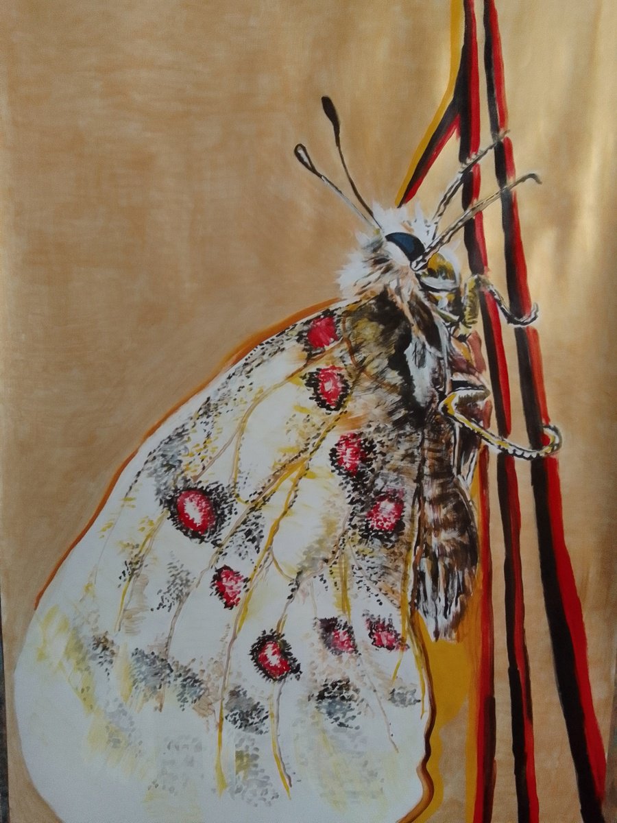 Photorealistic Animal Acrylic Painting By Soso Kumsiashvili, 24 X 33", Butterfly, Original Artwork