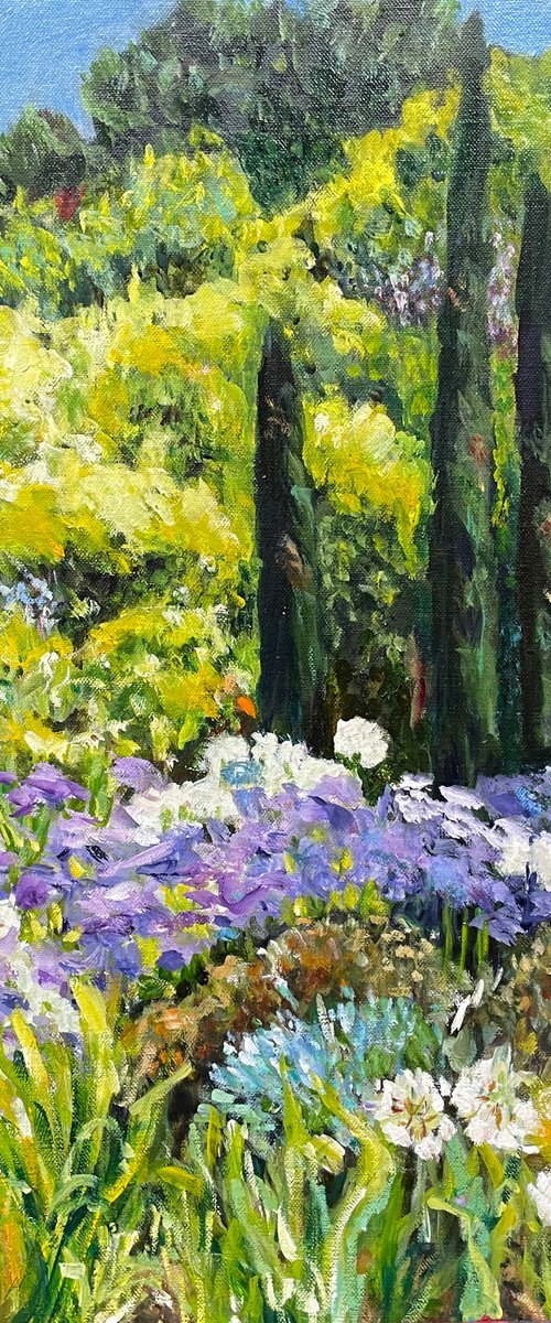 AGAPANTHAS AND PENCIL PINES by Maureen Finck
