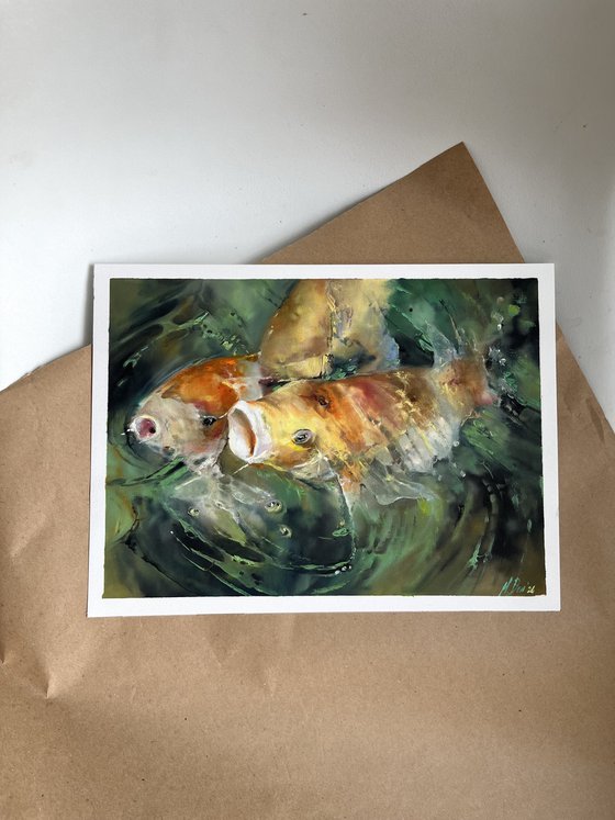 Turquoise Water Sunlight Koi Fishes