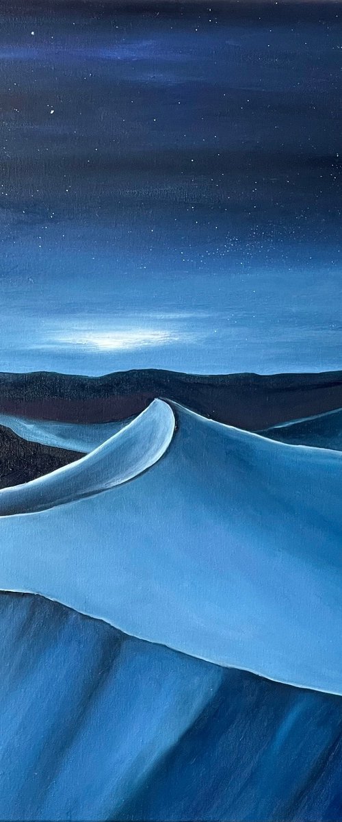 Night in the desert by Anastasiia Novitskaya