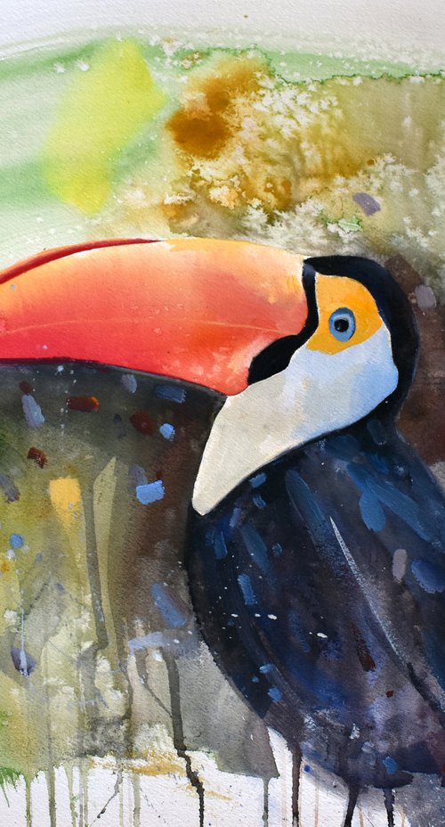 Presenting the great Toco Toucan by Trevor Salisbury