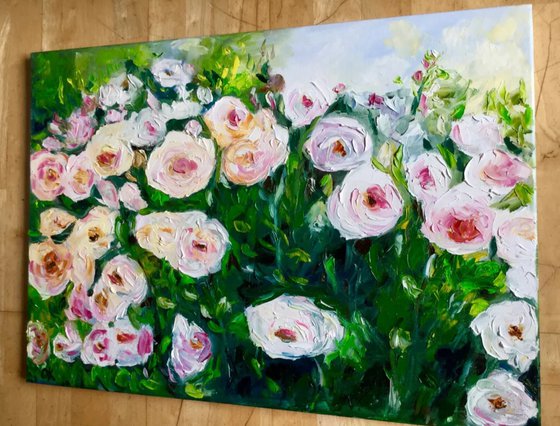 WHITE PINK YELLOW  roses