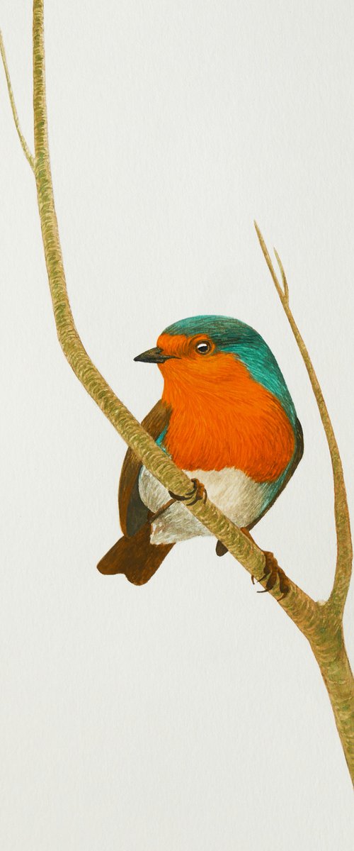 Robin sits on the branch by Karina Danylchuk