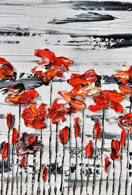 Flora Poppies by Daniel Urbaník